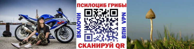 ОМГ ОМГ ONION  Гвардейск  Галлюциногенные грибы ЛСД 